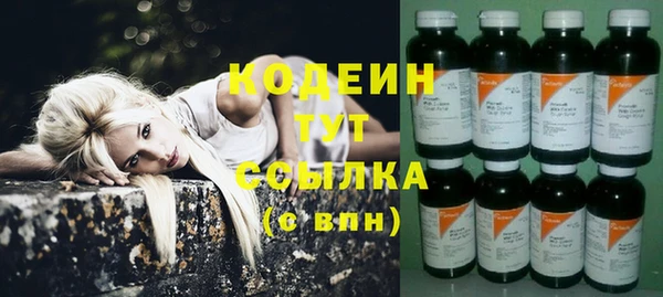 не бодяженный Великий Новгород